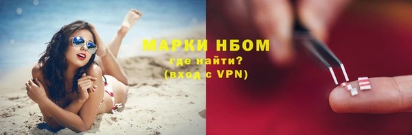 PSILOCYBIN Богородицк