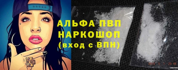 PSILOCYBIN Богородицк