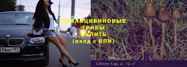 хмурый Богданович
